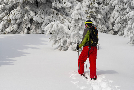 探险家在穿雪鞋的大松树中漫步。史诗般的冬季旅行在山上。后退视图