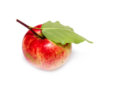 在白色背景上的红苹果