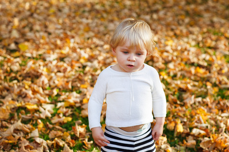 蹒跚学步小孩在秋天公园