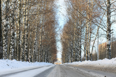 冬季景观积雪覆盖大片。一个公园在冬天在