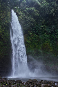 美丽的 Nungnung 瀑布在巴厘岛, 印度尼西亚