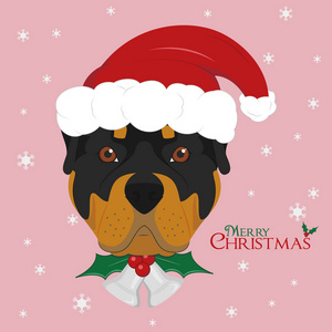圣诞贺卡。罗特韦勒狗与红色圣诞老人的帽子和圣诞节铃铛