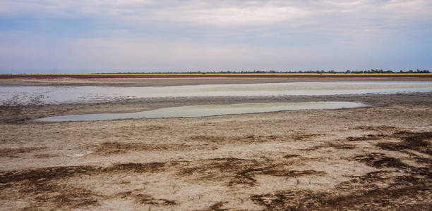 干燥湖底部的海藻和粘土。Kinburn 吐。乌克兰