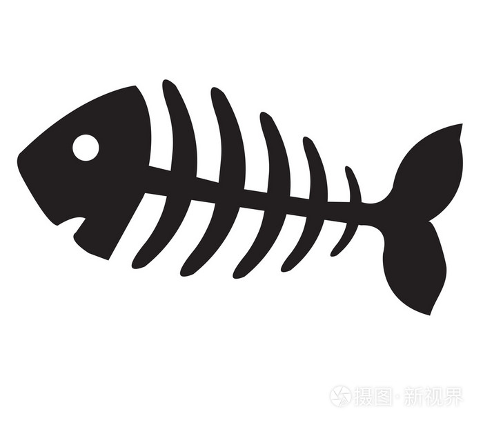鱼骨头,鱼骨架