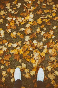 秋叶白色靴子的腿意象