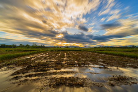 用云移动稻田和日落的长时间曝光景观