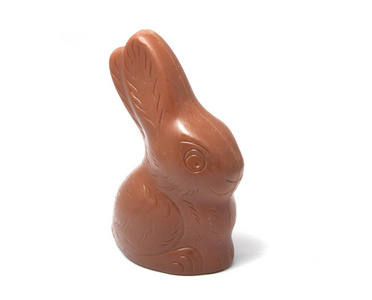 巧克力兔子被隔离在白色
