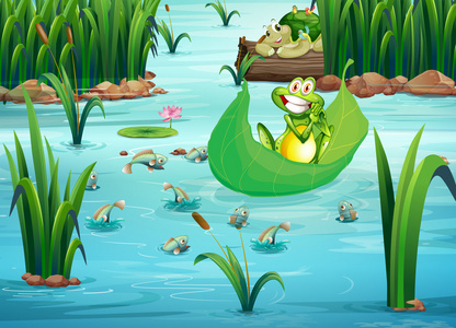 一只顽皮的青蛙和一只乌龟在池塘