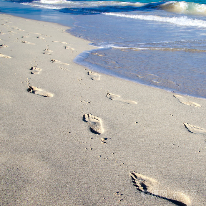 留下脚印在湿沙的海滩上