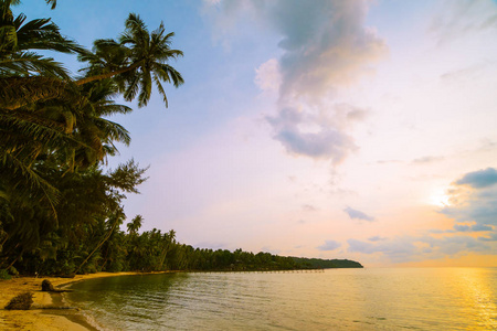 美丽的天堂海岛与海滩和海在椰子棕榈树附近在日落时间假日假期和旅行概念