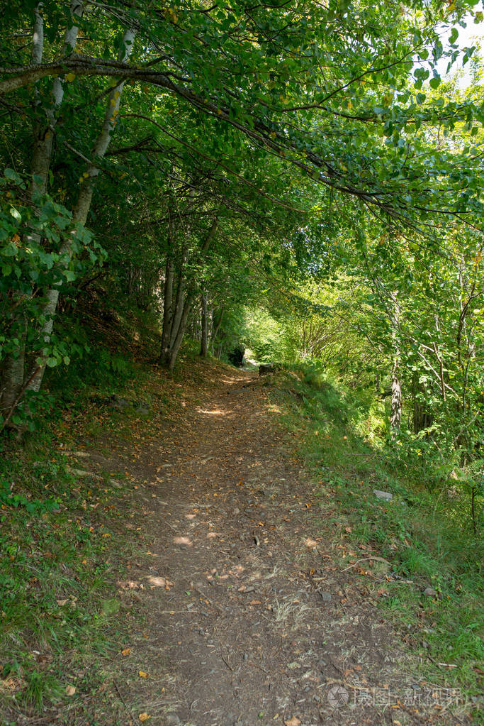 西班牙嫂子山谷中的山路