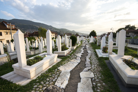 在墓地里的萨拉热窝城市景观