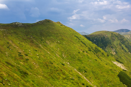 绿色山现场