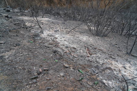 在加利福尼亚州欧康的33号公路上被托马斯大火破坏的暴露在景观中的垃圾