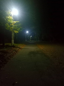 秋季夜景道路和灯光