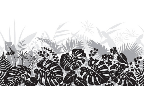 热带树叶单色图案
