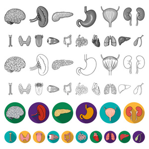 人体器官平面图标集合中的设计。解剖学和内脏媒介符号股票网页插图