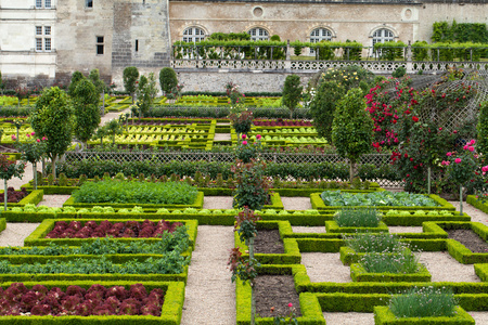 花园和在法国卢瓦尔河谷城堡 de villandry