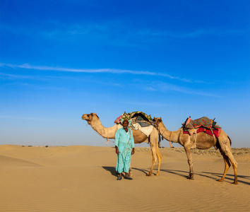 印度拉贾斯坦邦的 cameleer 骆驼 骆驼