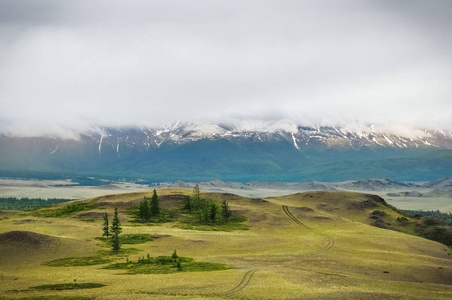 白雪皑皑的山峰在山林后