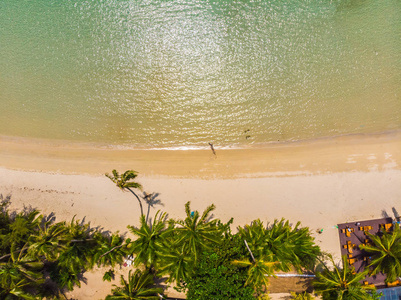 美丽的海景海滩和海洋与椰子棕榈树在天堂岛度假