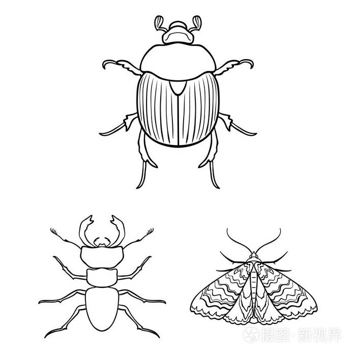 昆虫节肢动物矢量符号股票网页插图