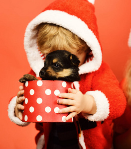 小圣诞老人抱着小狗在斑点盒