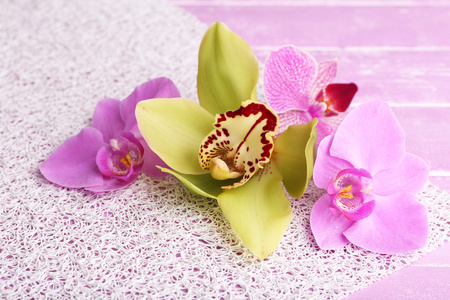 热带兰花花颜色木制背景