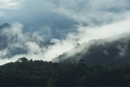 风景山层数, 热带森林在泰国