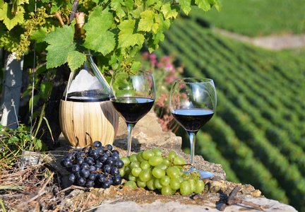 红葡萄酒和葡萄。拉沃葡萄园小地区瑞士
