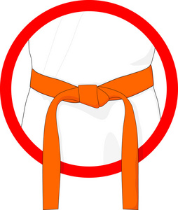 武术橙色带图片