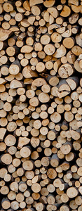 加热房子的材料。为冬季准备木柴。木柴的背景。一堆木柴