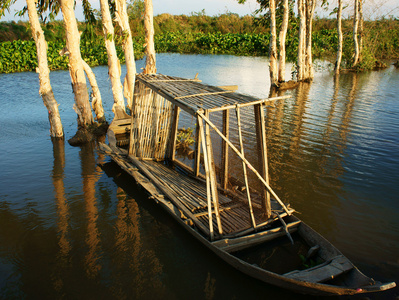 奇妙的景观，越南农村，湄公河三角洲
