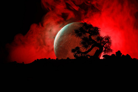 满月背景下的剪影树。满月升起在日式树之上反对柔和地雾的天空。装饰照片
