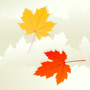 秋天的树叶背景矢量概念