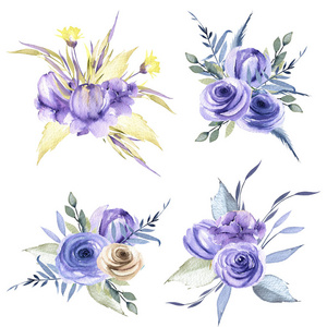 水彩蓝色玫瑰和植物花束集合, 手工画在白色背景被隔绝了