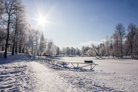 美丽的冬季景观：白色蓝天下的冰雪仙境