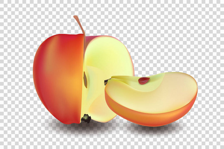 红苹果与切片矢量插图。现实矢量 Eps 10