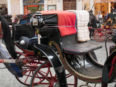马和典型的马车, 运送游客到罗马