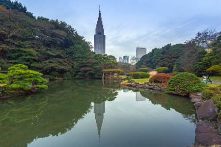 秋天在新宿公园，日本，东京