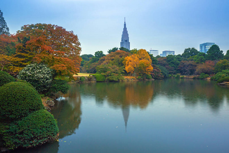 秋天在新宿公园，日本，东京