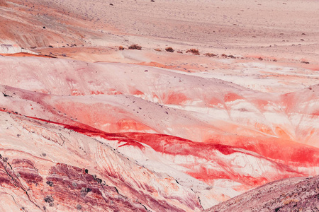 五颜六色的红色岩石在一个晴朗的天。克孜勒山的美丽景色, 阿尔泰。峡谷的火星景观