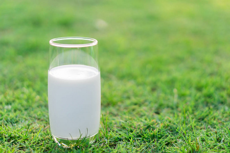 牛奶特写玻璃在绿色草自然背景, 食物健康概念