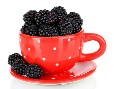 甜黑莓在杯子上白色隔离
