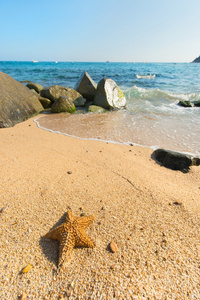 西班牙海岸