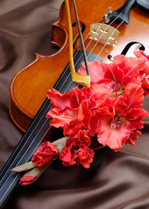 唐菖蒲和小提琴。丝绸背景上的小提琴和花朵