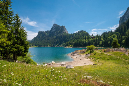 美丽的山湖夏季景观