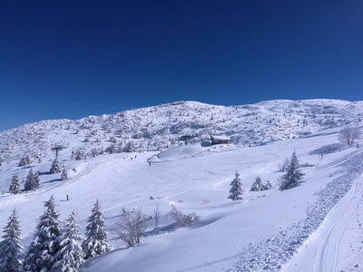 滑雪跑滑雪者在冬天假日晴朗的天