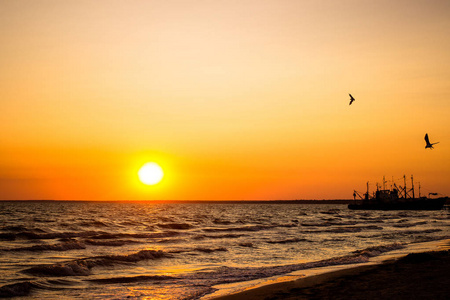 海边美丽的日落。他表扬了那艘船。船在日落。海鸥在落日的海面上飞翔。水的光波