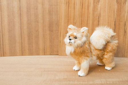 娃娃狗玩具可爱漂亮的木地板背景